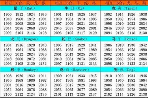 2002年農曆生肖|2002年属什么命 2002年属什么生肖和什么最配